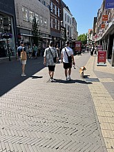 IMG_6442.JPG IMG_6442.JPG